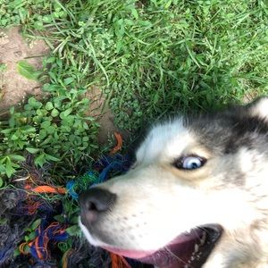 Meet your Posher, Alexsa